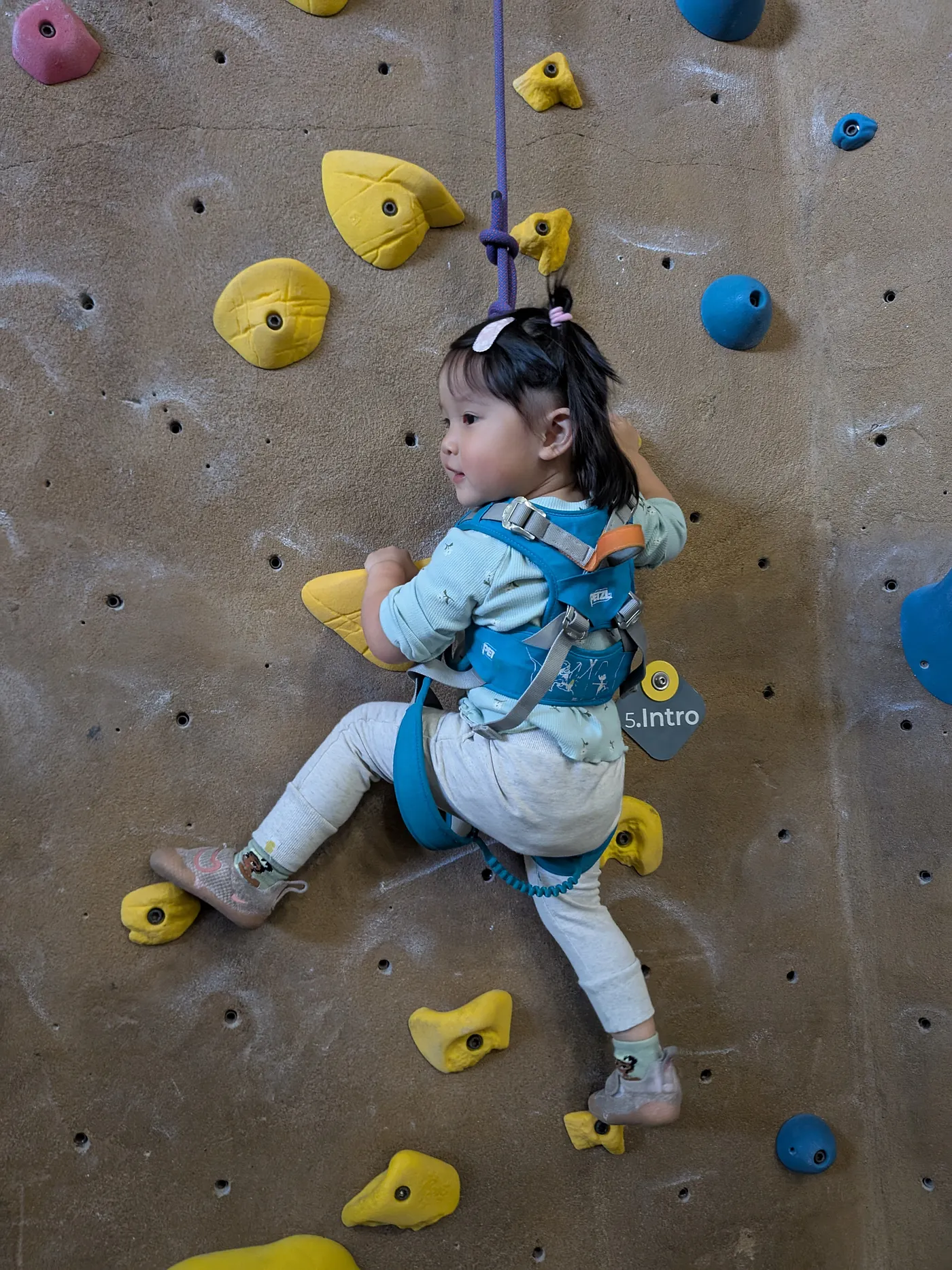 Rhea's First Climb