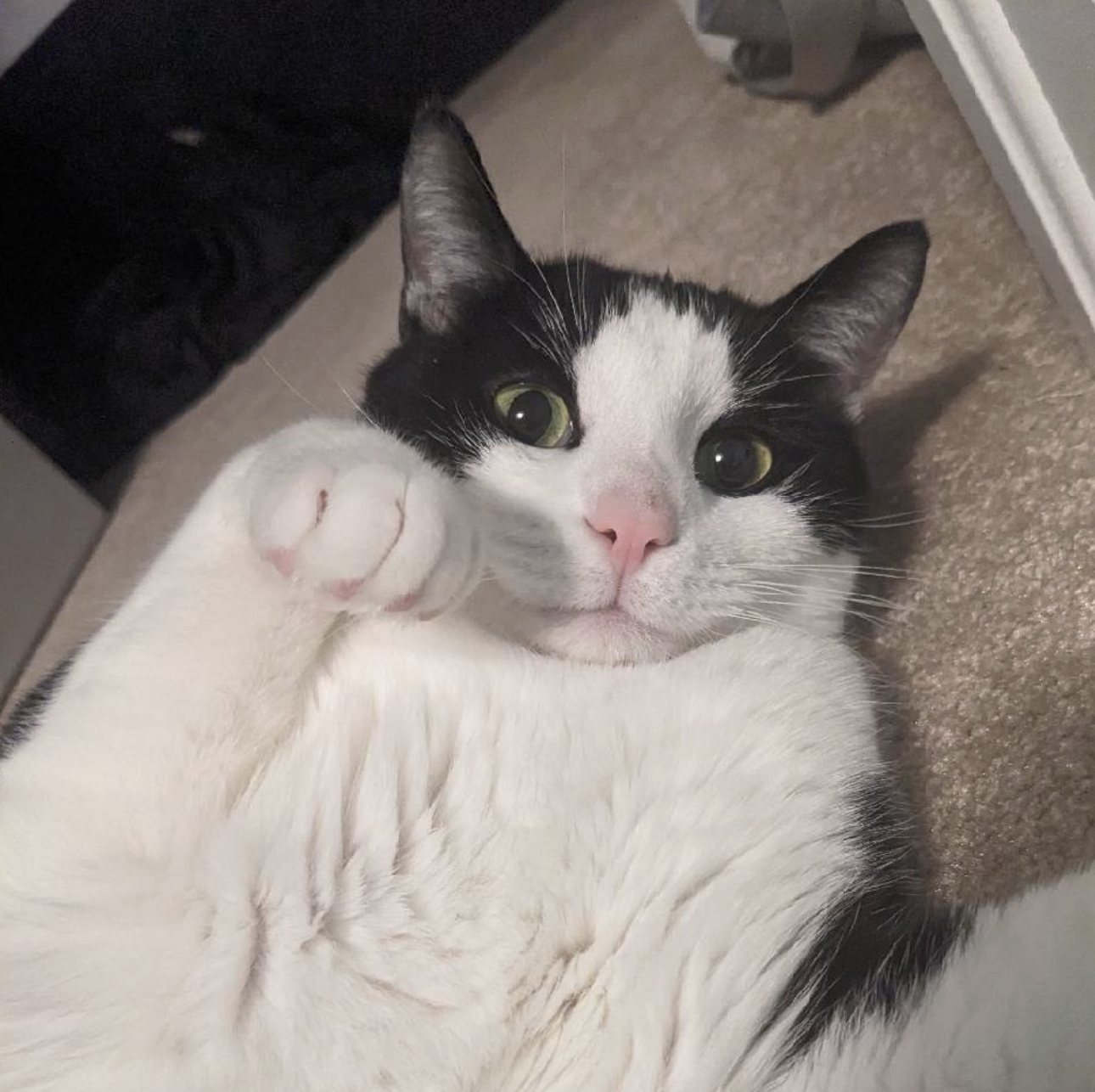 Oscar